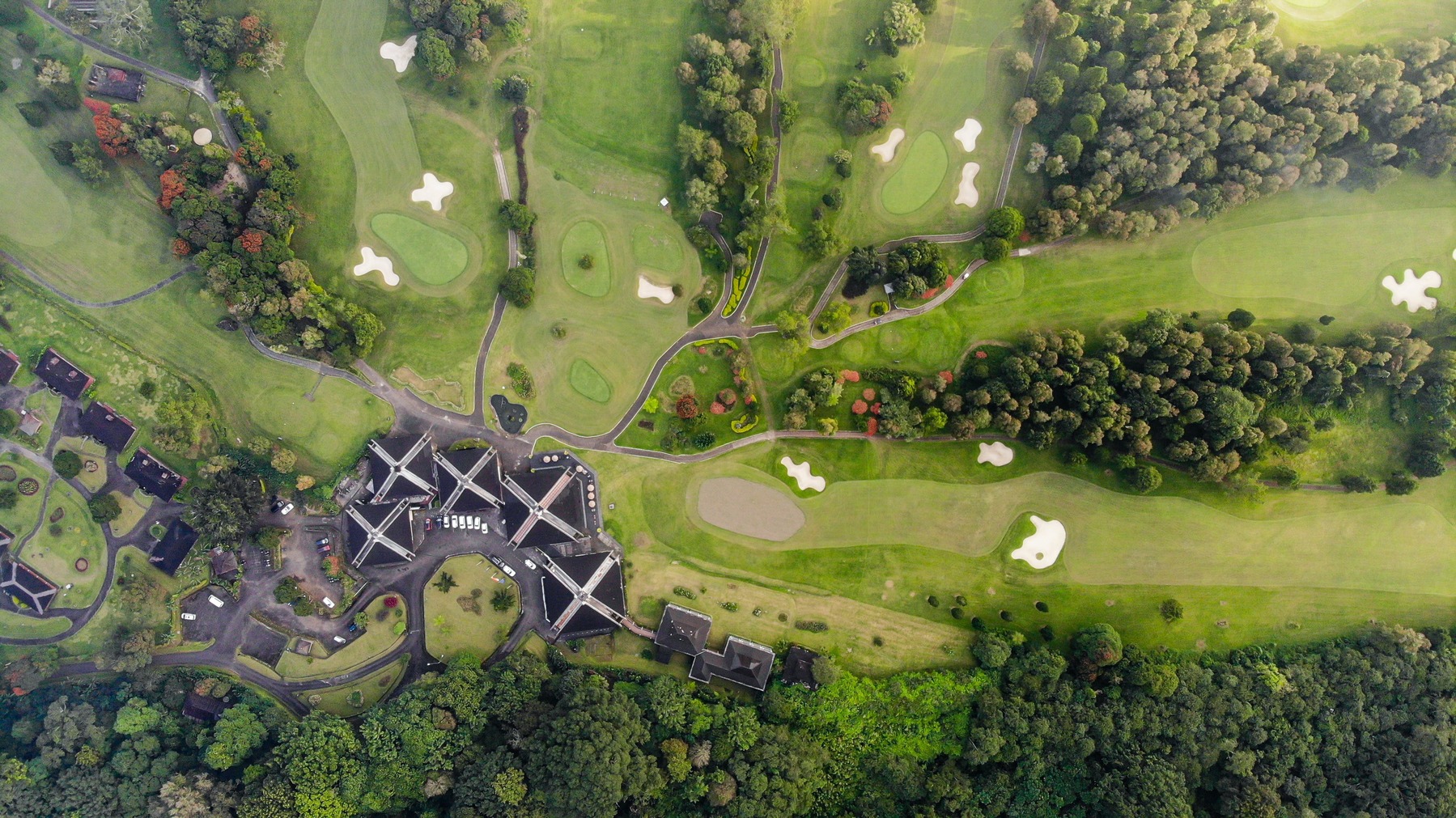 Mästarnas Mästare: Hemligheterna bakom de bästa golfbanorna